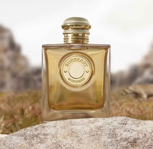 BURBERRY | Goddess Intense Eau de parfum | – Image 4